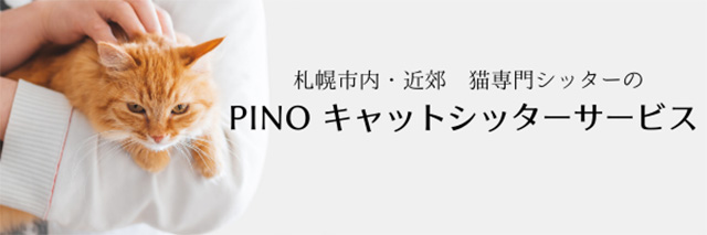 ��ǭ�����PINO����åȥ��å��������ӥ�����